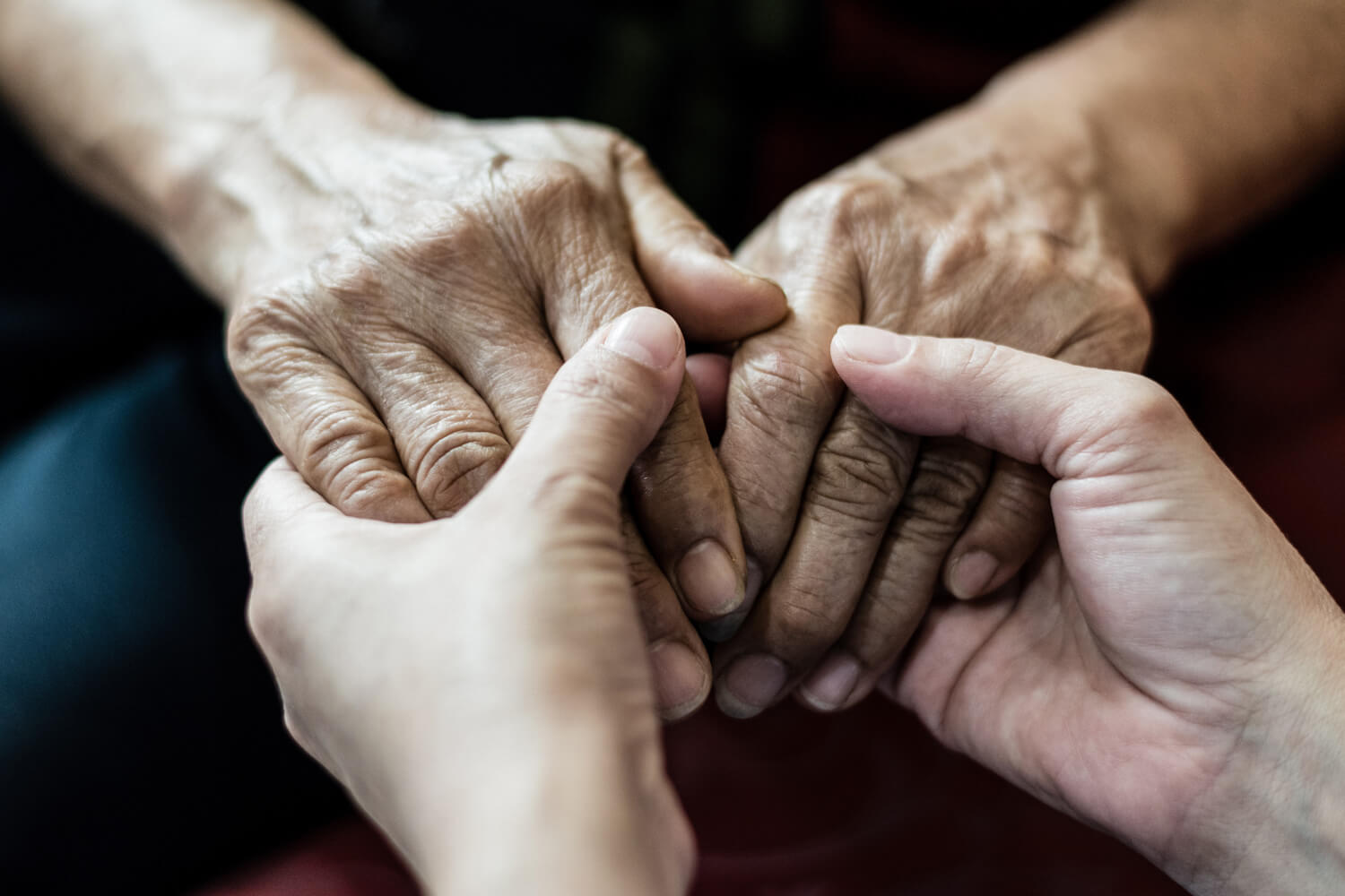 Young female hands holding a senior citizen's hands