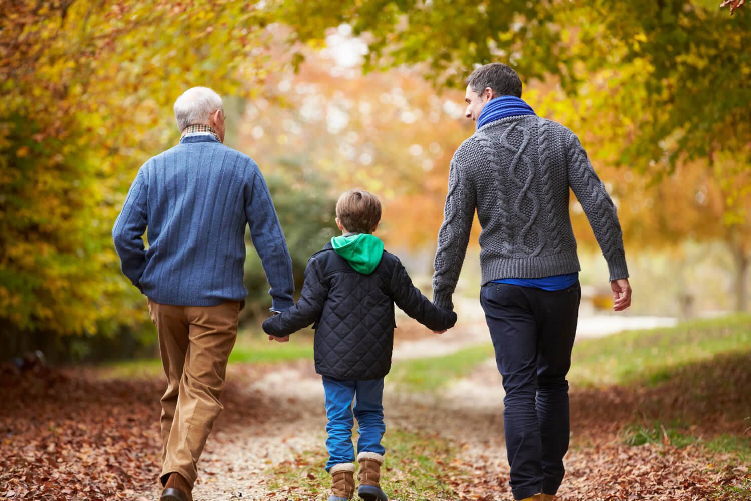 Granddad, Adult Son, and Grandson walking in the park under trees