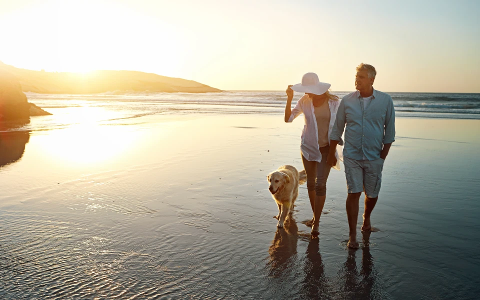older couple walking with dog on the beach